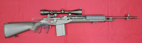 TMC Custom Marui M14 AEG with RAS - Click Image to Close